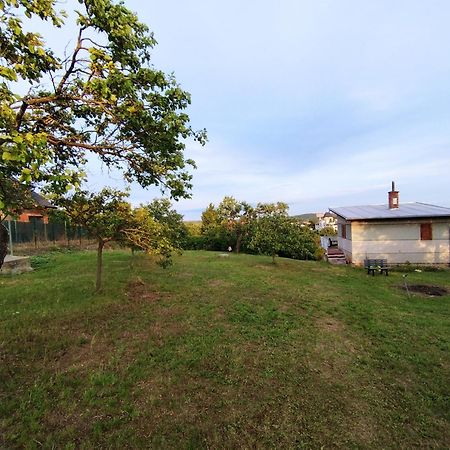 Вилла Wine House Зноймо Экстерьер фото