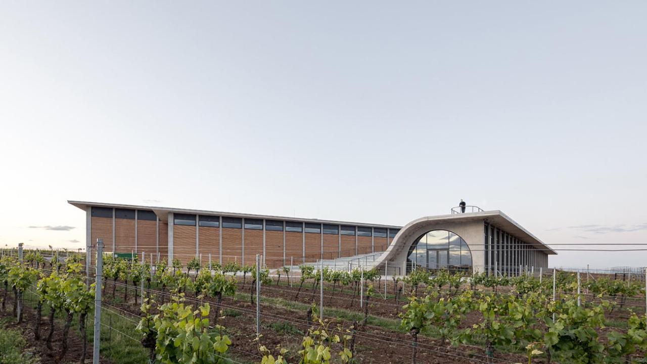 Вилла Wine House Зноймо Экстерьер фото
